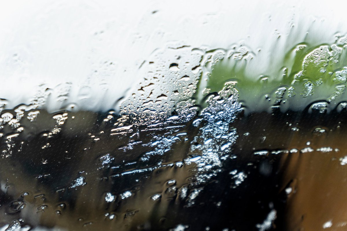 tho_wo's tweet photo. Day 300: โsummerโ
#PhotographyChallenge #PicOfTheDay #PhotoADay #PhotoOfTheDay #365photochallenge #photo #photography #SonyAlpha #SonyAlpha6100 #Tamron1770 https://t.co/bATF8IewXr
