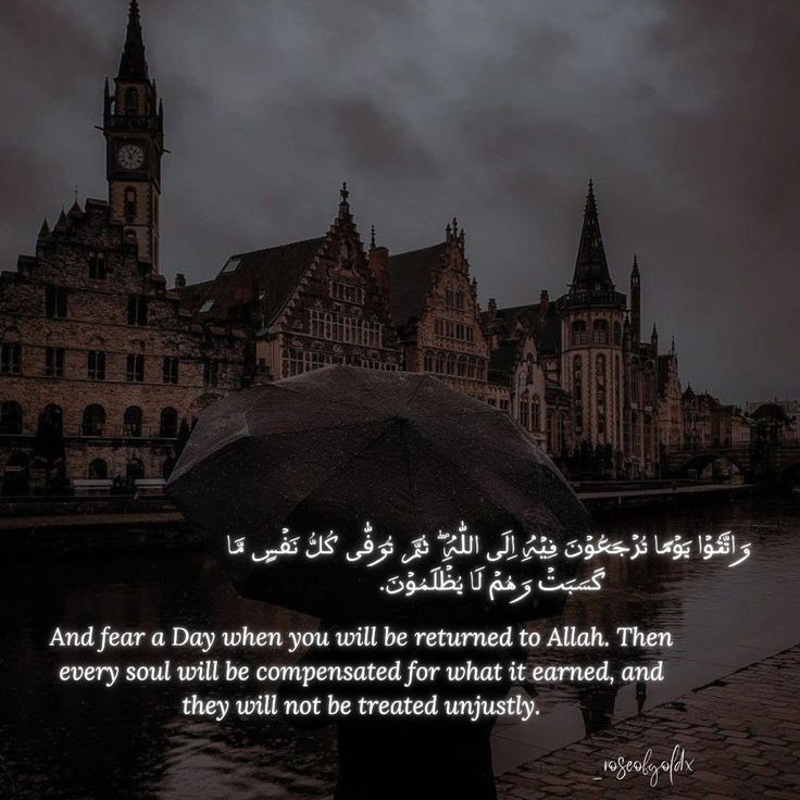 SheikhFaiz08's tweet photo. #hadithoftheday #hadithoftheprophet #HadithofProphetMuhammad #islamicpost #quranquotes https://t.co/9eDl0FD8Vy