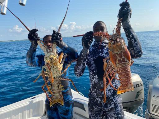 BahamasSportFishing tweet media