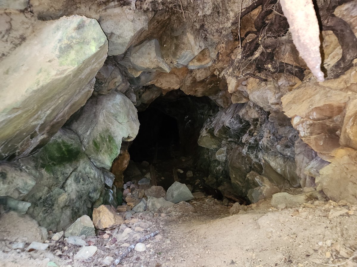 Kermode_KLM's tweet photo. Silver Bell Mine Adit - Horne Lake, BC
Quartz - Calcite hosting massive and disseminated stibnite, arsenopyrite and pyrite.
#stibnite #arsenopyrite #gold #antimony #silver #pyrite #goldmine #mines #prospecting #mining #silverbell #kermode #klm https://t.co/lklAbTuM8O