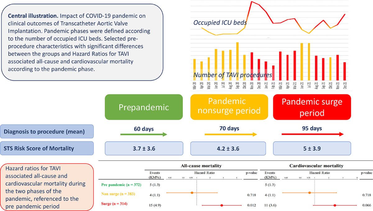 In Bern, Switzerland, TAVI during COVID-19 surge periods was associated with higher STS-PROM score, longer wait times, and increased 30-day mortality compared with non-surge and pre-pandemic periods. authors.elsevier.com/sd/article/S00…