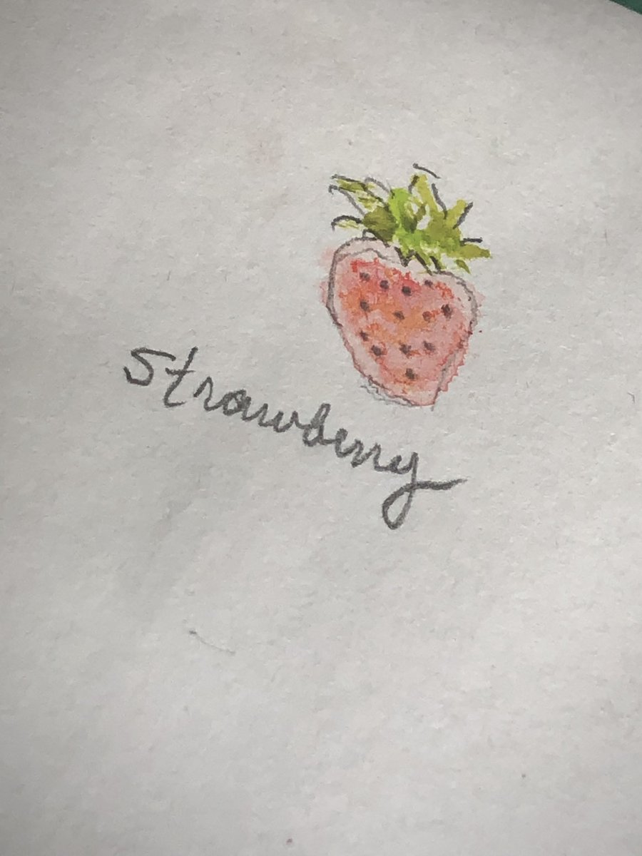 TarotStuff's tweet photo. ✨The produce section of my little art book, part I…❤️✨
#withlovefromtwonygirls ❤️🐾 #Produce #ProduceSection #PartOne #Strawberry #Mushrooms #GreenBeans #Asparagus #Watercolor #Pencil #Art #NY https://t.co/3aChqfDTgT
