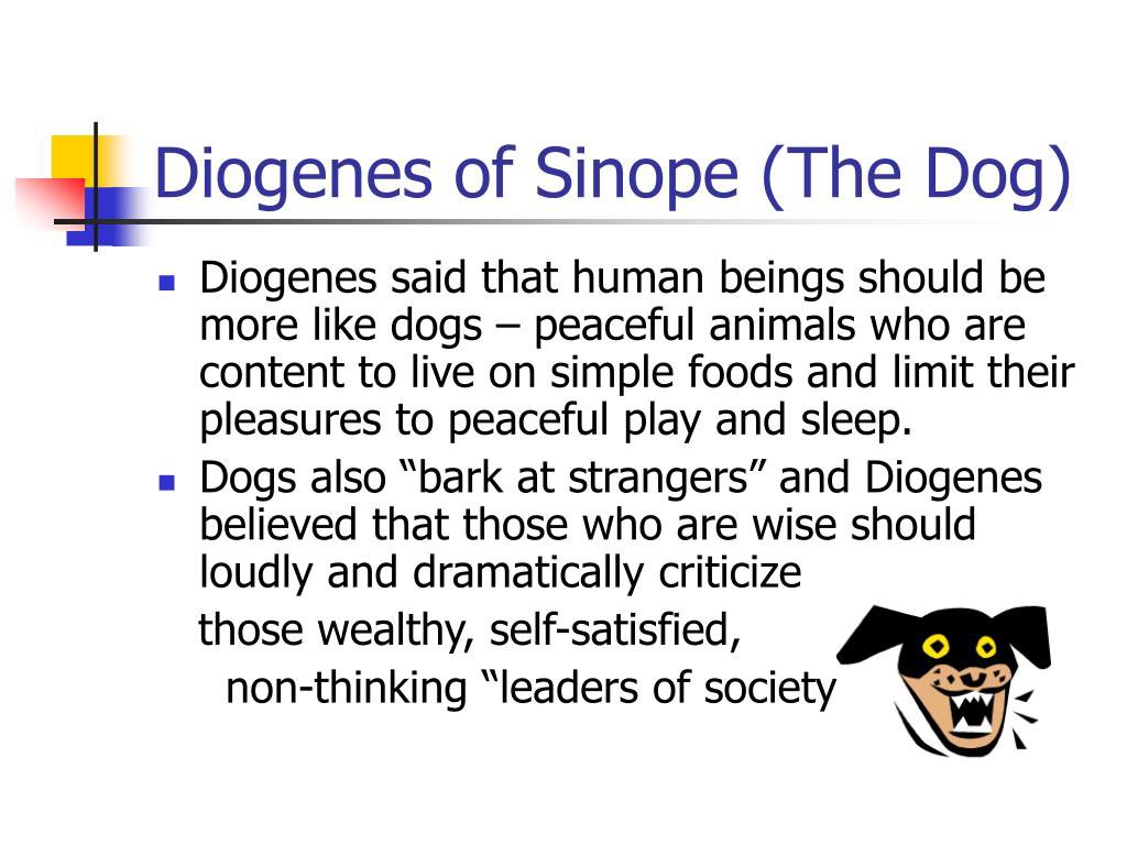 Heindsight's tweet image. Diogenes was also known as Sinope Dogg. 🐕🦴