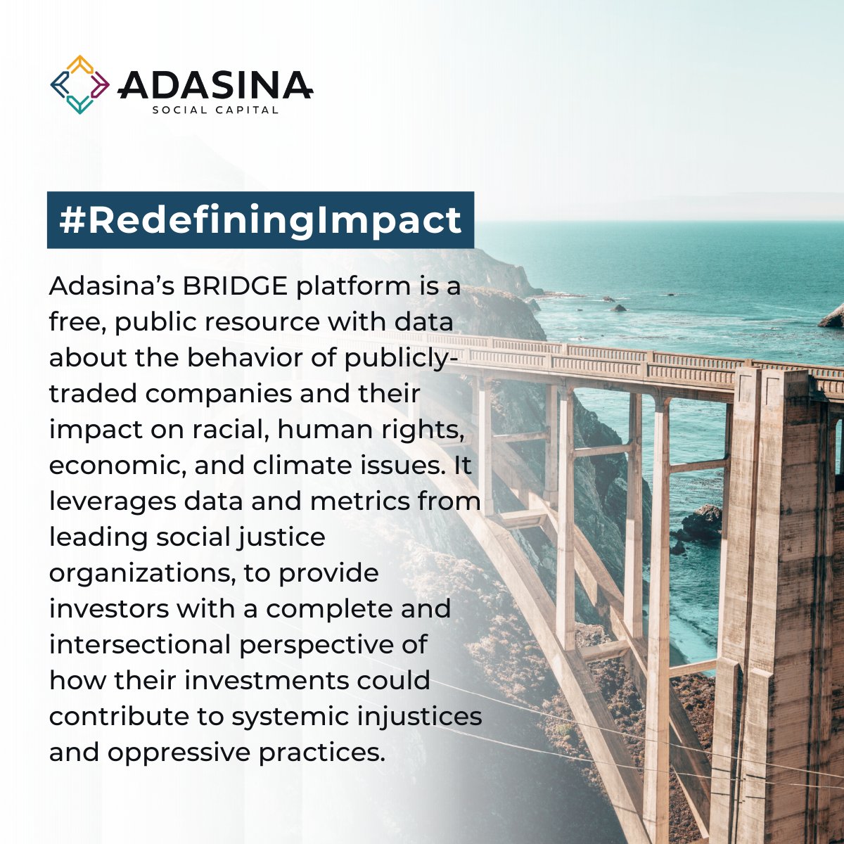 Adasina Social Capital tweet media