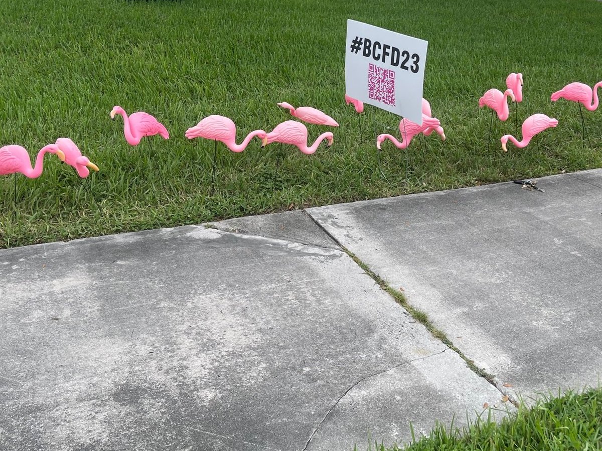 bocachamber's tweet photo. The Flocking in Boca continues! Today they have made their way to Lynn Women’s Health & Wellness Institute. Where will the flock turn up next? Stay tuned... and don't forget to buy your tickets to our events! #BCFD23 #movingbusinessforward #flocking #bocaraton @BHCancerCare https://t.co/qg7o7Cdal7