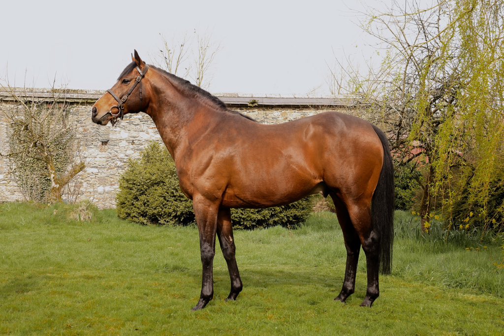 Garryrichard Stud tweet media