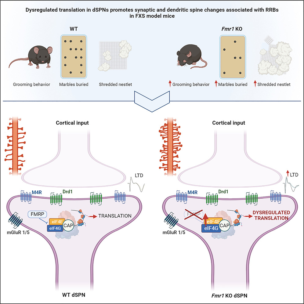 Francesco Longo tweet media