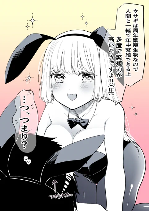 ウサギ豆知識