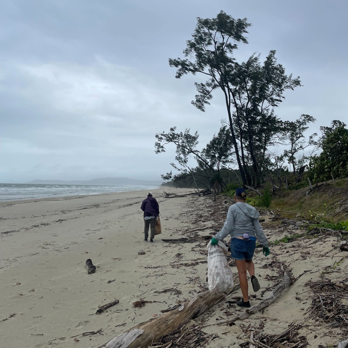 TangaroaBlue's tweet photo. 223.8kgs of #marinedebris removed from the coastline of Baku (Cape Kimberley) in the World Heritage Daintree Rainforest. 

#ReefClean #ReefTrust https://t.co/2SYmG08j69