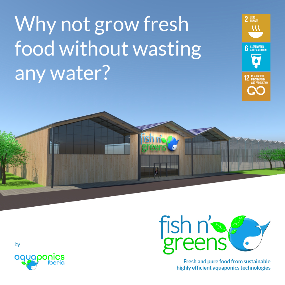 FishnGreens's tweet photo. Food production can and should be a sustainable activity and water does not have to be a wasted input.

#fishngreens #waterscarcity #sustainablefarming #aquaponics #blueeconomy #sustainableinvesting #farmtofork https://t.co/stWitiwHK7
