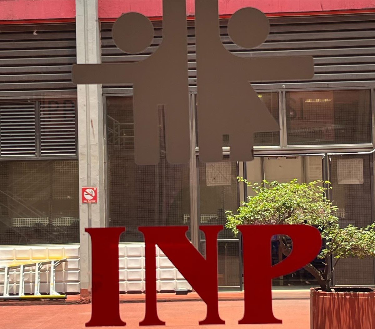 Debra México tweet media