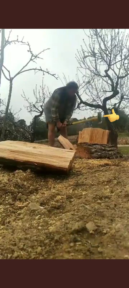 queetmoris_rata's tweet photo. @vandhal77 Es veu el mall i la meva polla Merdeia Codeina malalta de mare suicidada i aquest mànec no es trenca. No es una merda de mànec de fusta i jo no sóc un xixarelo q fa fàstic com l'idiota de 50 quilos que em fa fàstic i surt amb el mall per estrenar pallassa rata malalta https://t.co/nWrF1kRcZV