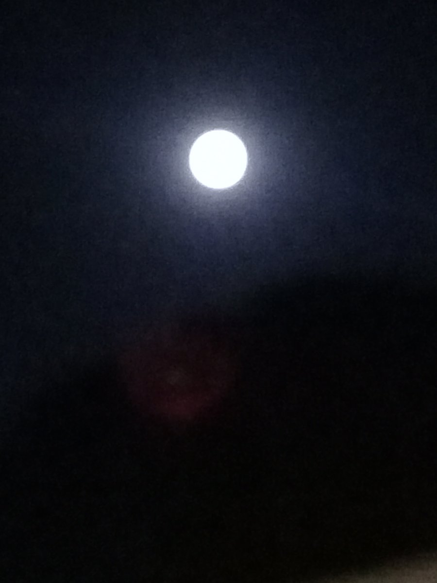 Emiliana✨🚫 DM Blocked &report 🚫 tweet media