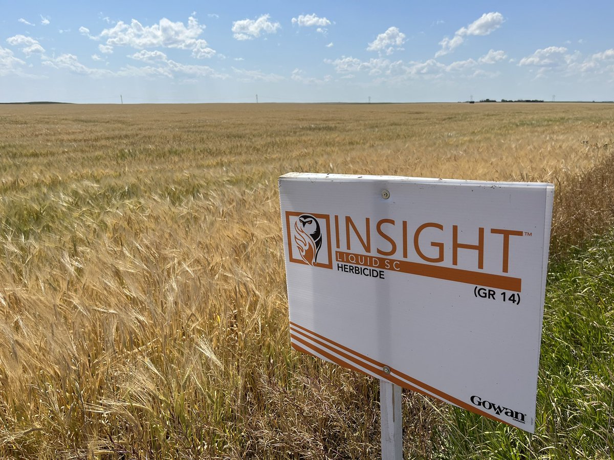 It’s time to start picking up field signs. Nice to see clean looking fields throughout my travels thanks to #InsightFastestBurndown! #Harvest23 #WestCdnAg @TeamSASKGOWAN <a href="/gowancanada/">Gowan Canada</a>