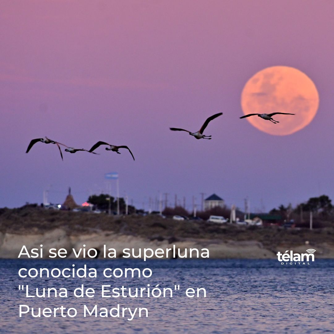 AgenciaTelam's tweet photo. Asi se vio esta noche la superluna conocida como "Luna de Esturión", en Puerto Madryn

📷 Maxi Jonas (@maxijonas) https://t.co/YtzCepaAml
