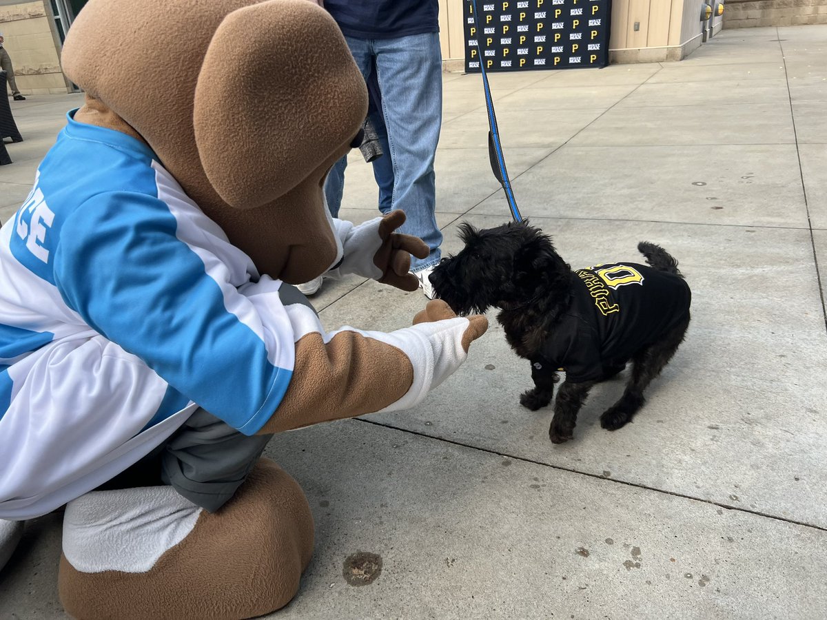 BordasLaw's tweet image. A perfect night for Pittsburgh @Pirates, Pup Night and PNC Park! ⚾️🐶