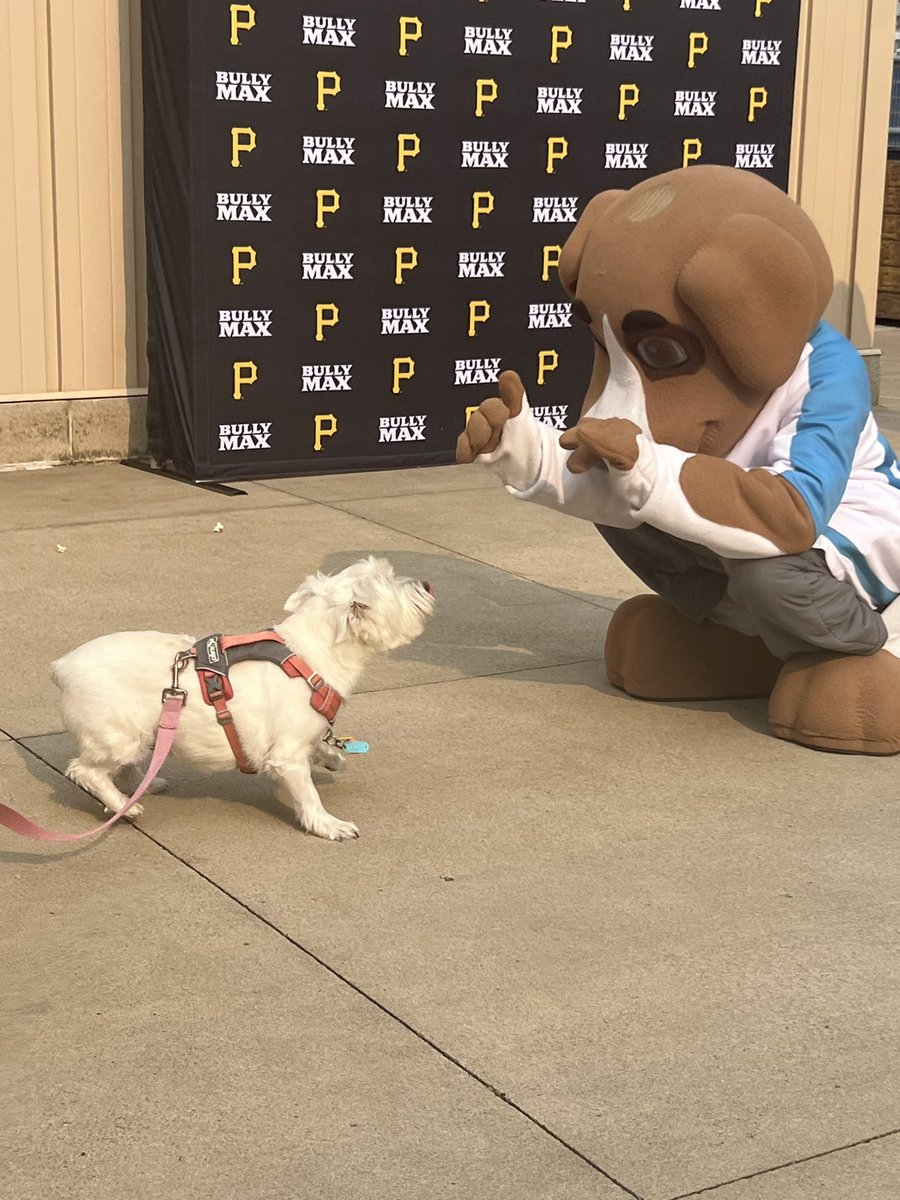 BordasLaw's tweet image. A perfect night for Pittsburgh @Pirates, Pup Night and PNC Park! ⚾️🐶