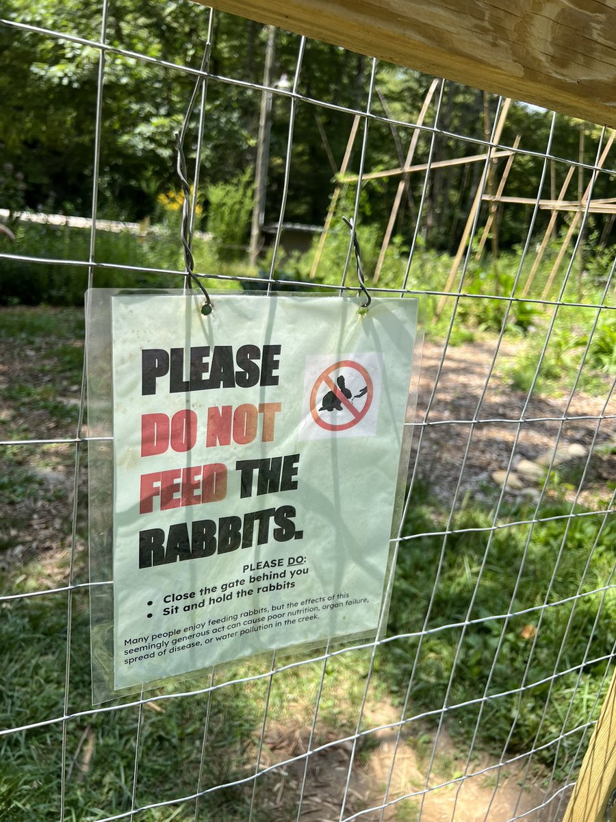 GDLC Youth & Family tweet media