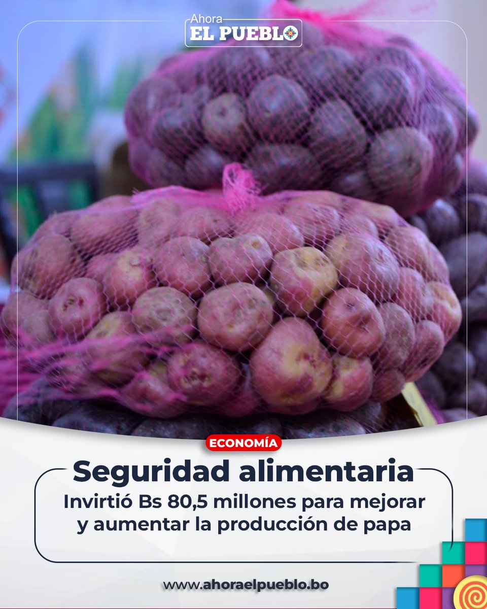 ahora_elpueblo's tweet photo. #Economía | 🥔✅ A julio de este año, más de Bs 80,5 millones fueron invertidos por la Institución Pública Desconcentrada Soberanía Alimentaria (#IPDSA) para mejorar e incrementar la producción de #papa en el país.
👀👉Entérate más en: https://t.co/byf8OSyopZ https://t.co/4RKu7H2YwT