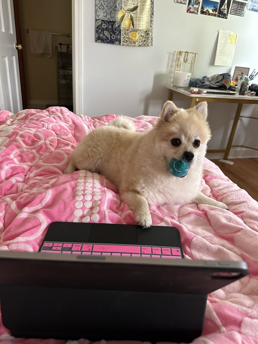 Cryptobeans12's tweet photo. Anyone can learn #JavaScript on @AlchemyLearn 🐶 can’t wait to tell my other doge frens that I can play ball AND code 💅 https://t.co/MqDbU0xbWL