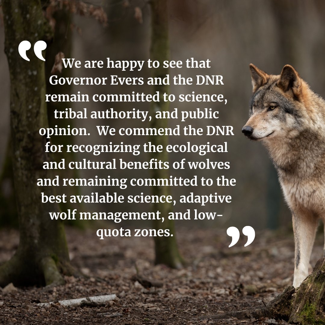 SierraClubWI's tweet photo. #BreakingNews: Today the @WDNR released the 2023 Wolf Management Plan that will go to NRB for a vote. π§΅
βWe are happy to see that @GovEvers and the @wdnr remain committed to science, tribal authority, & public opinion." #wiwolves https://t.co/kQDpSk32oX