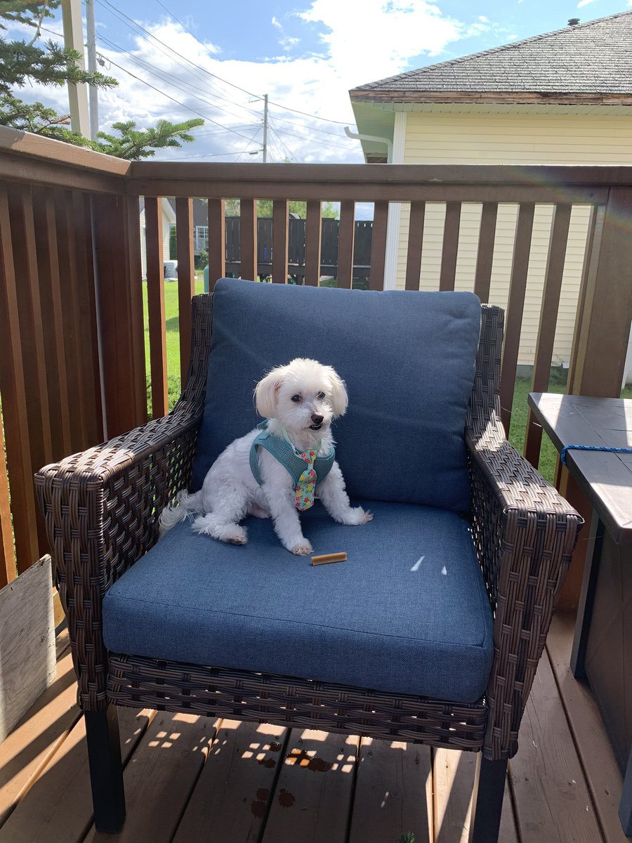 Kay Campbell tweet media