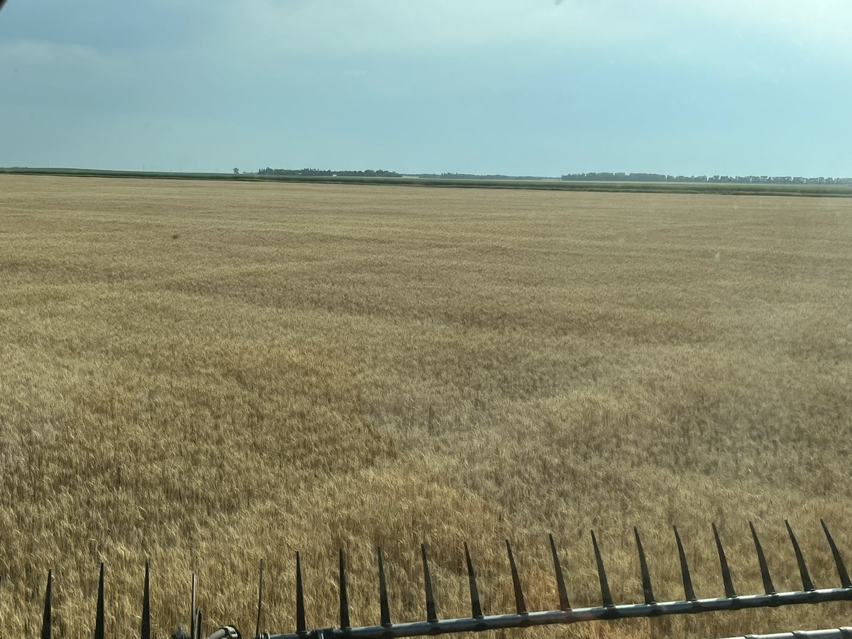 Walter Smith tweet media