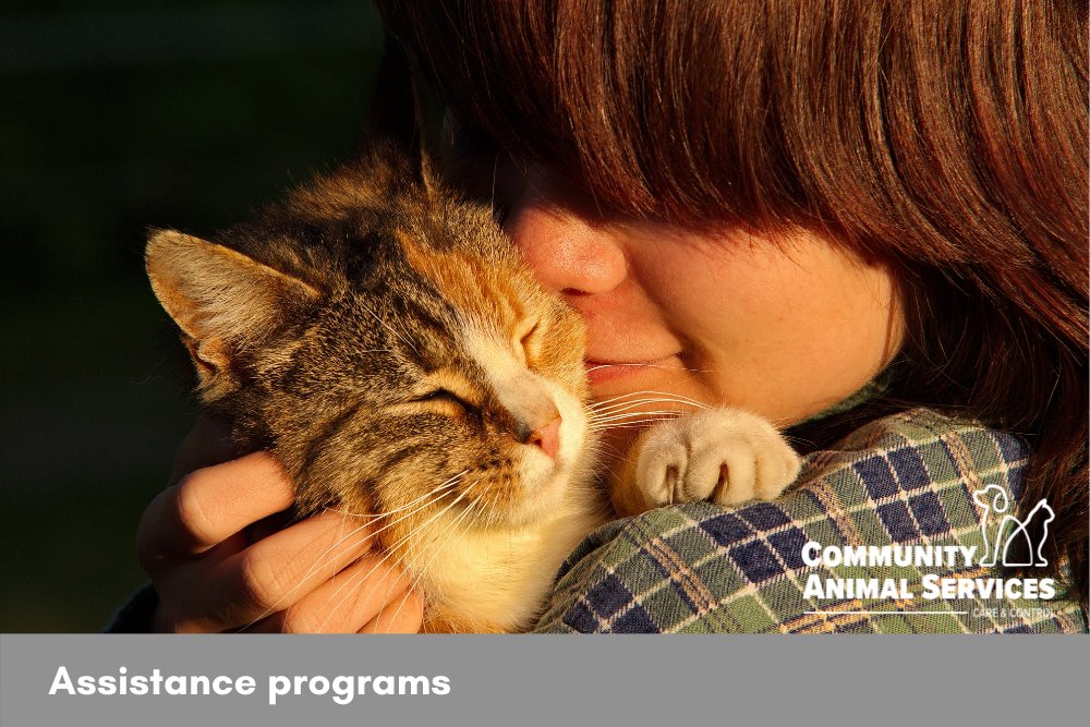 ComAnimalSrvYQL's tweet image. DYK? There are supports available to residents of Lethbridge to help keep pets at home and out of shelters, including a pet food bank and spay/ neuter financial assistance.

Learn more: tinyurl.com/4tt82d49

#yql #letbridge