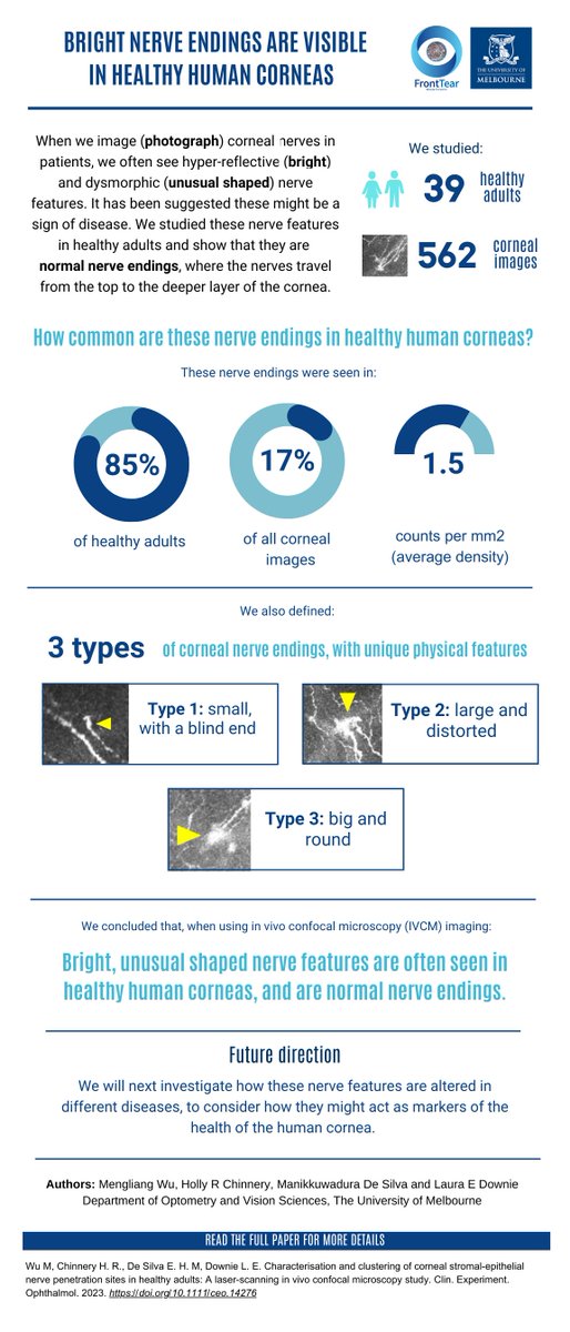 FrontTear_UoM's tweet photo. More research from our @FrontTear_UoM Research Centre @UnmelbDOVS led by amazing post-doc @Mengliang_Wu showing that hyperreflective nerve features on corneal confocal images not only occur in diseased eyes https://t.co/WCuwQeg2UM @ClinExpOphthal @holly_chinnery @UnimelbMDHS https://t.co/ZH5YUFwPdr