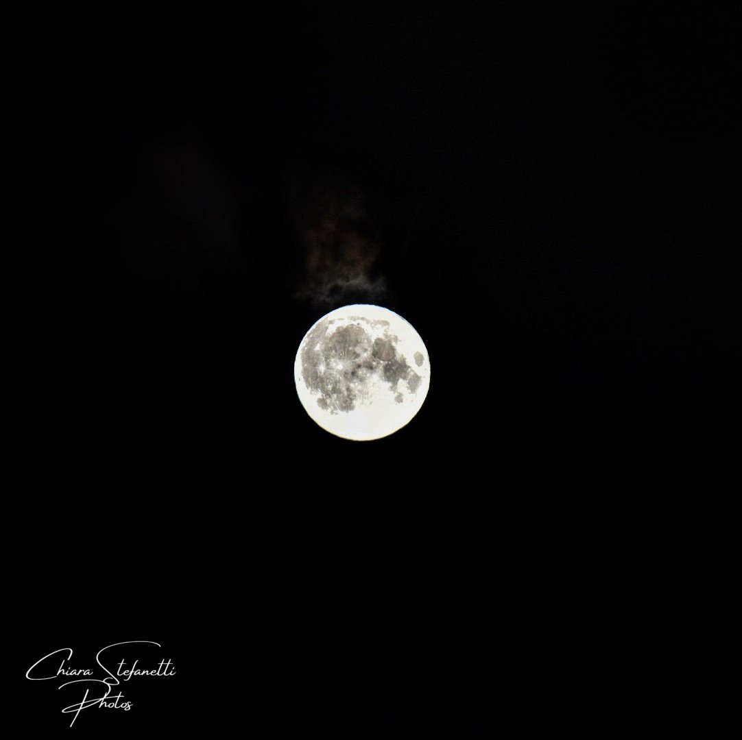C18Chic's tweet photo. Mira alla luna! Anche se sbagli, atterrerai tra le stelle... 🌕😍⭐️
#nikonphotography #photography #fotografia #nikonphoto #Nikon #passion #nikonitalia #nikonD3500 #D3500 #nikonItaly #PicOfTheDay #love #Moon #LunaPiena #SuperLuna #FullMoon #BigMoon #SuperMoon #FirstAugust https://t.co/rMg6wd548M