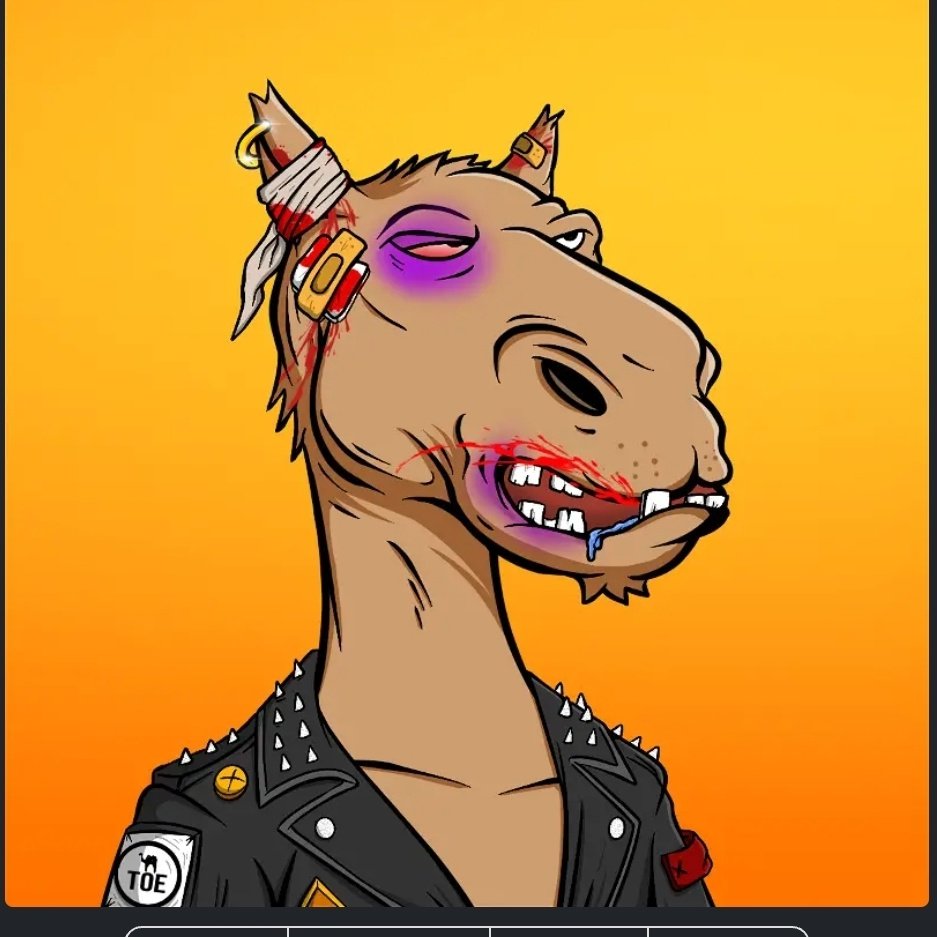 cudaback_chris's tweet photo. @JeremyXfactor @cameltoecan Let's ToE #crofam #CamelToEcan #DeFi https://t.co/LmOJ3TI4Bo