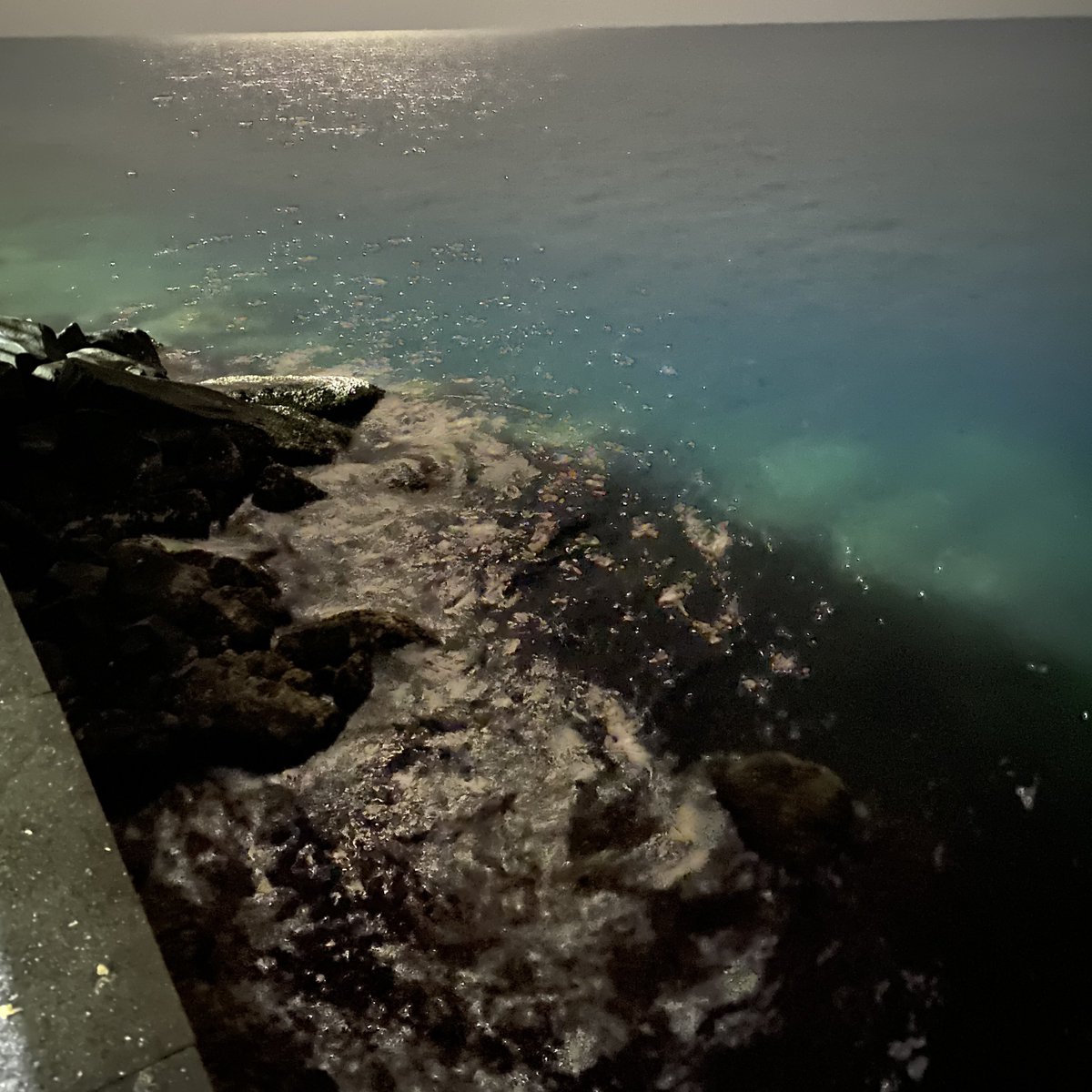 B15V's tweet photo. 🌊❤️ https://t.co/YGzIeDeX4V