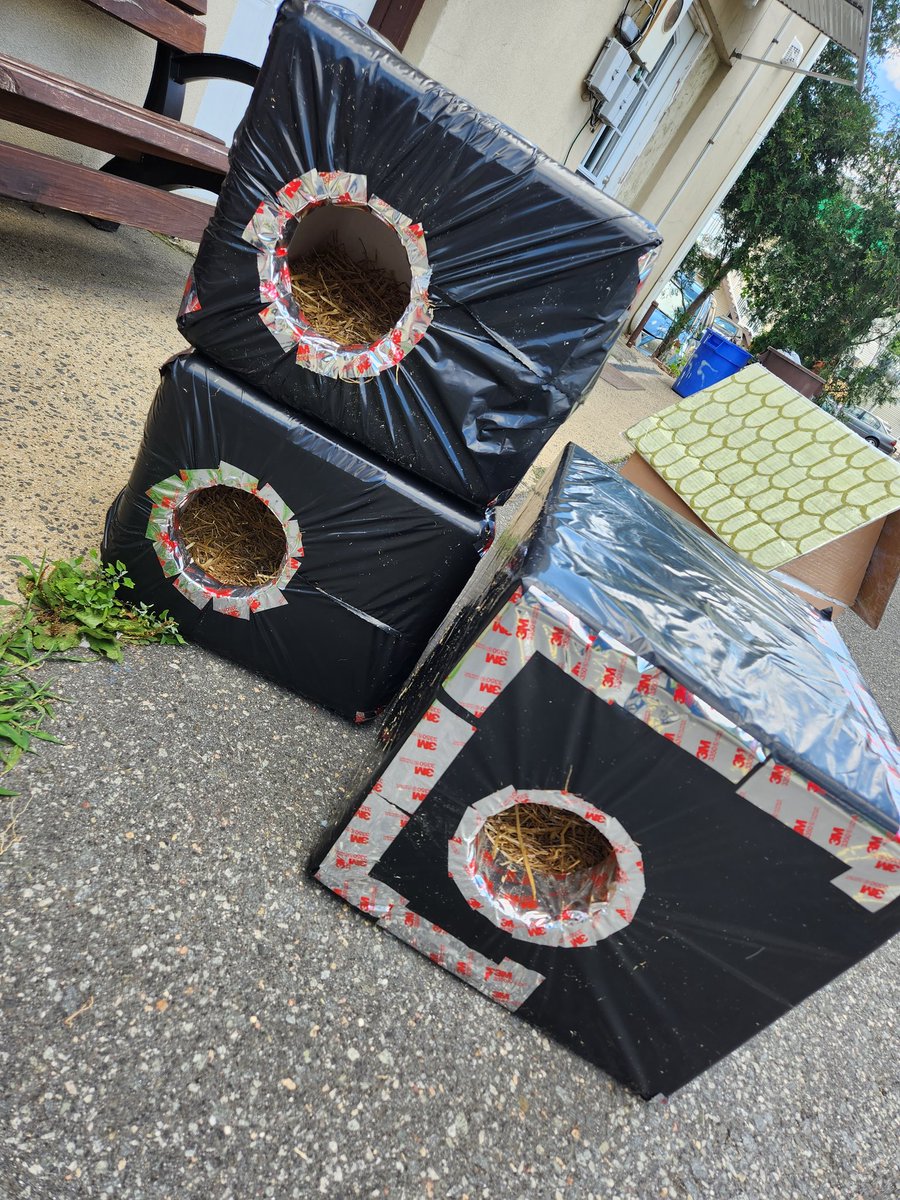 Kelly Lee tweet media