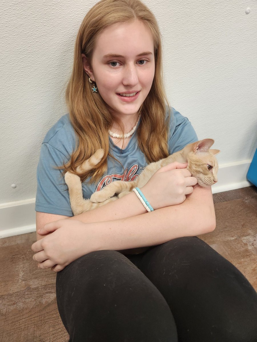 Kelly Lee tweet media