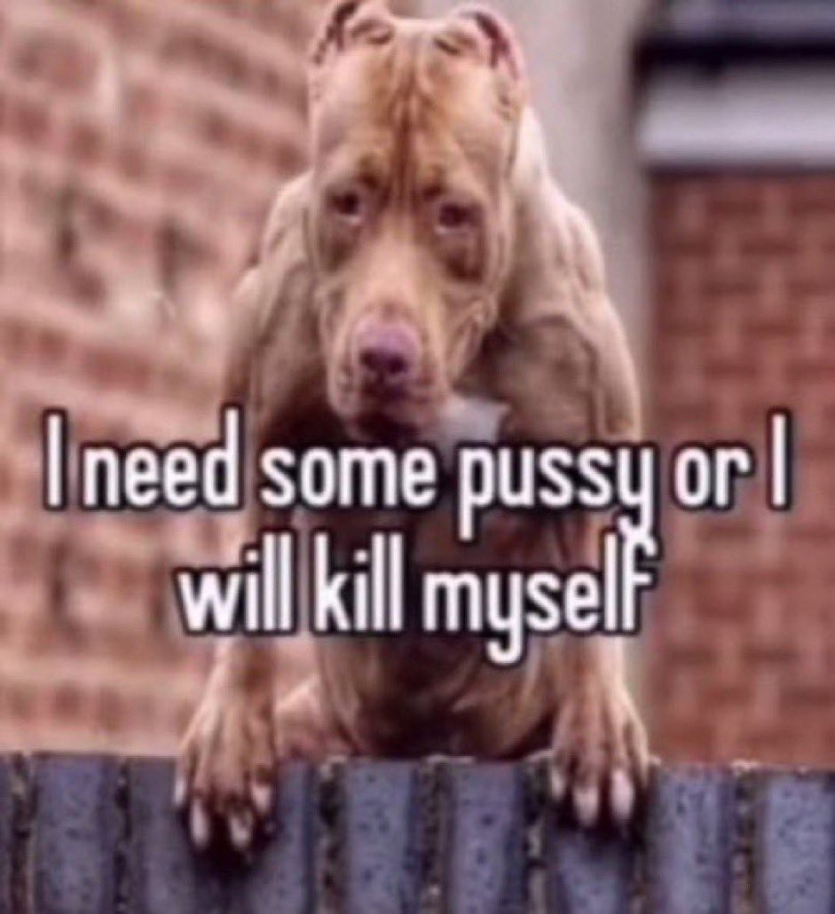 $B (@brendandagawd) on Twitter photo 