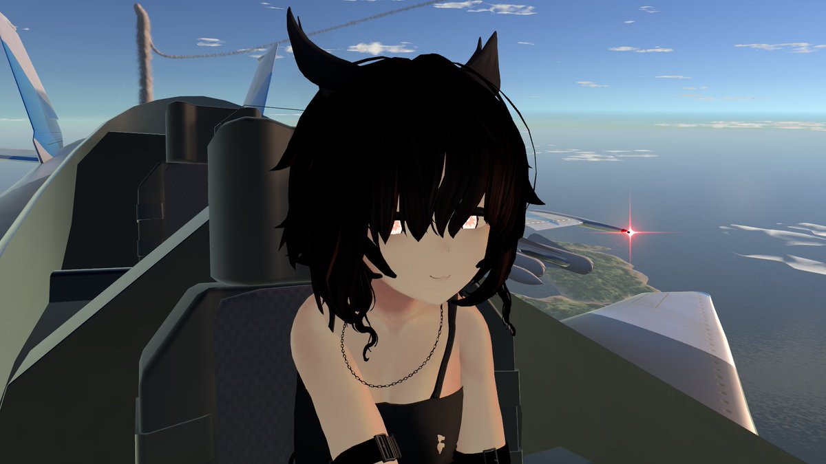 sumisuandhitch's tweet photo. Worst... Pilot... Ever... #vrchat https://t.co/D85rZfnZdn