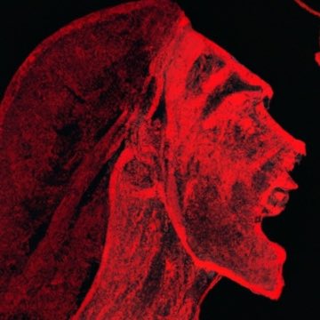 A__S_87's tweet photo. Now that I’m working on my album more seriously, I’m going to give life to this account 

Ps: the picture below is part of a project I’m releasing soon. https://t.co/O70faFicKq