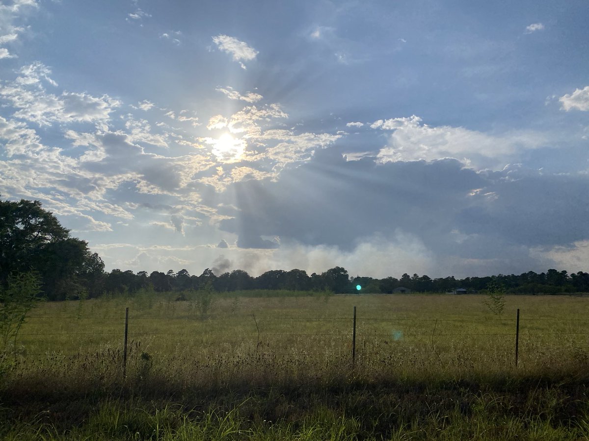ThirdEyeOfTexas's tweet photo. East of Bastrop State Park right now https://t.co/I3gwQZTBpu