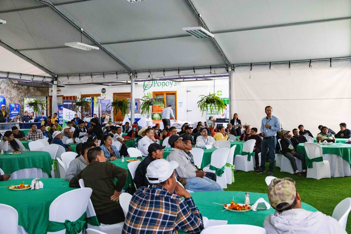 FTFGUAPROINNOVA's tweet photo. Hoy inició el 1er. Congreso de Tomates y Chiles 🍅🫑 en el Altiplano Occidental #FASAGUA - #PROINNOVA. Con charlas y conferencias de #PegónPiloncito, @Popoyán y #MICSA @FeedtheFuture @USAIDGuate https://t.co/yymJxlMSUa