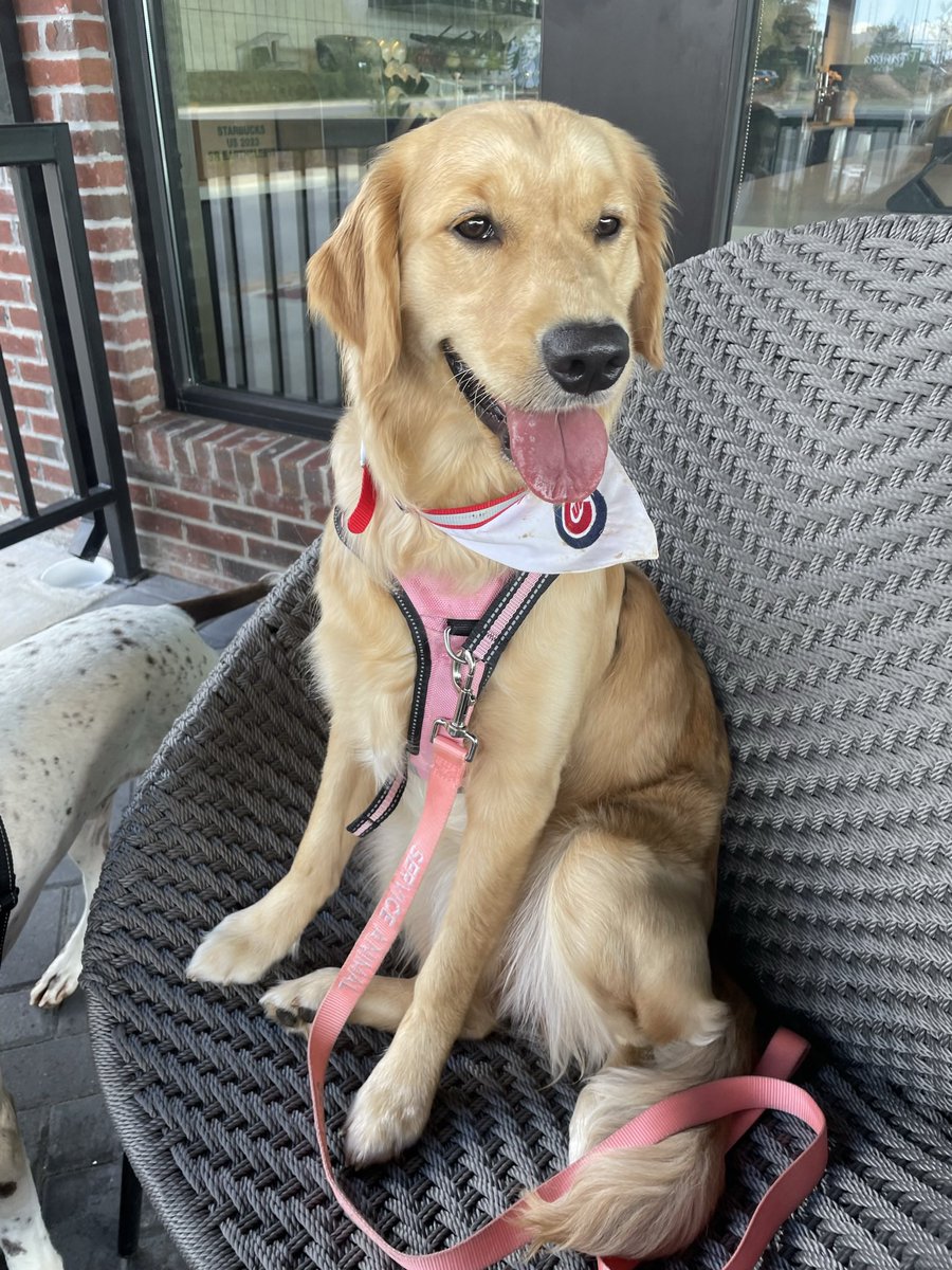 Time to get a new bandana !!! Go Nats❤️🤍