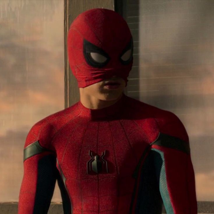 thsafeplace's tweet photo. happy spider-man day to my spider-man, love u forever 🫂🕷 https://t.co/WRKcijwnKb