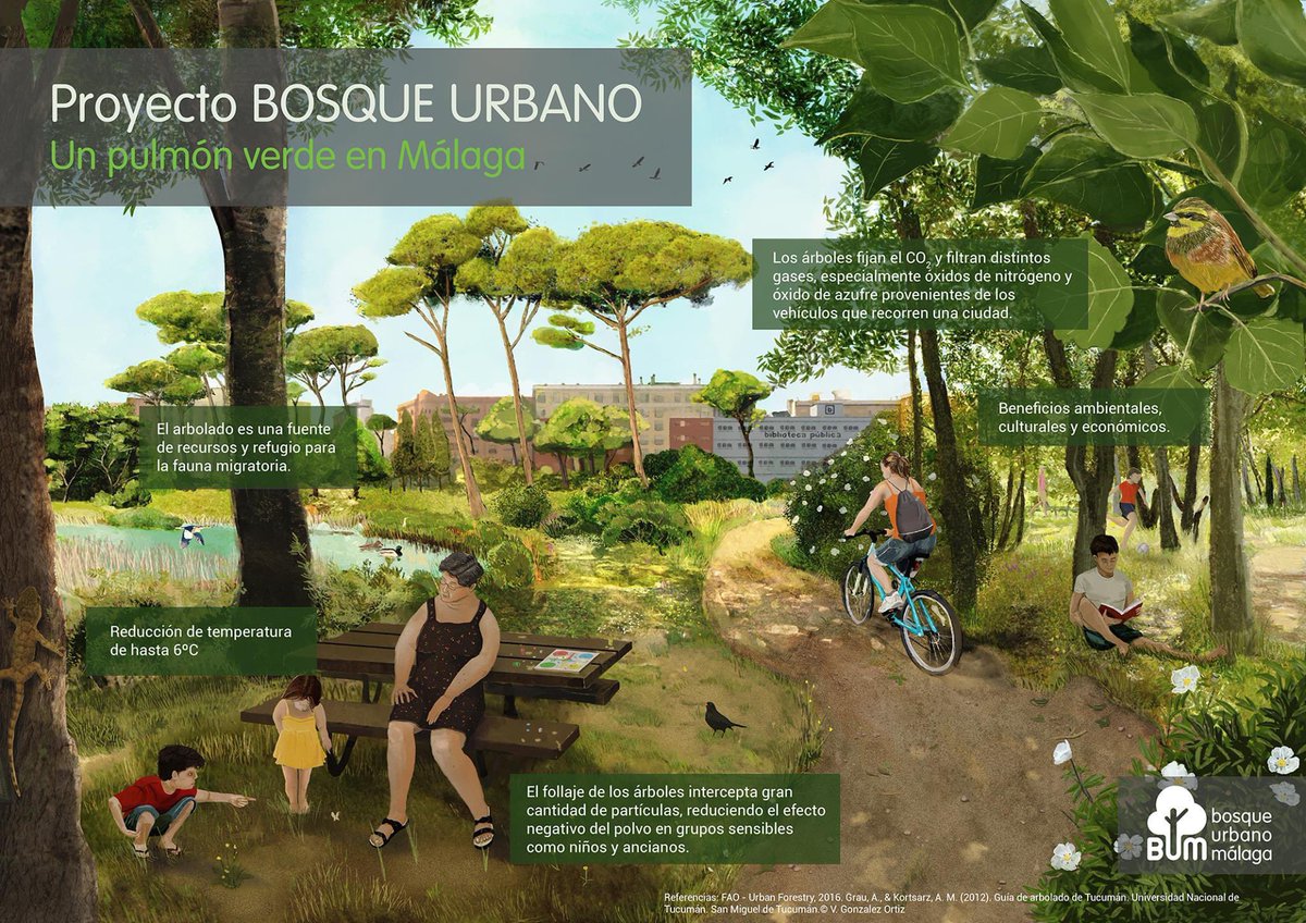 Bosque Urbano Málaga tweet media