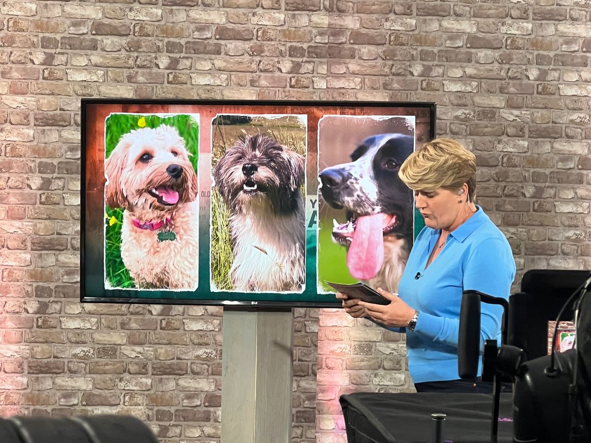 Justine Quirk tweet media