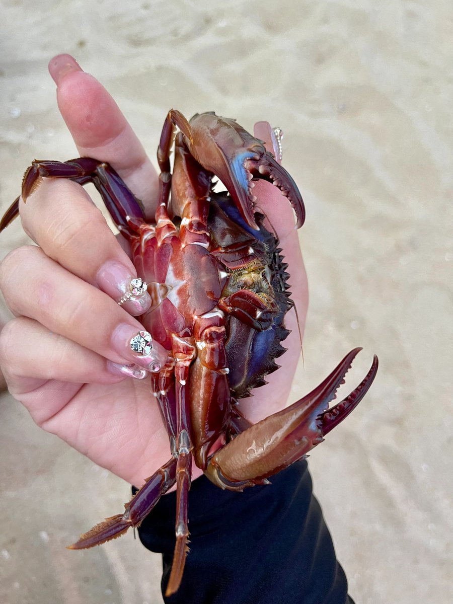 VeraaaYang's tweet image. If you've been in the sea together, you'll probably remember it for a long time.

#Seafishing
#Hooks
#Fishinggear
#Fishfarming
#Seaside
#Speedboatfishing
#Fishingtournaments
#Fishing