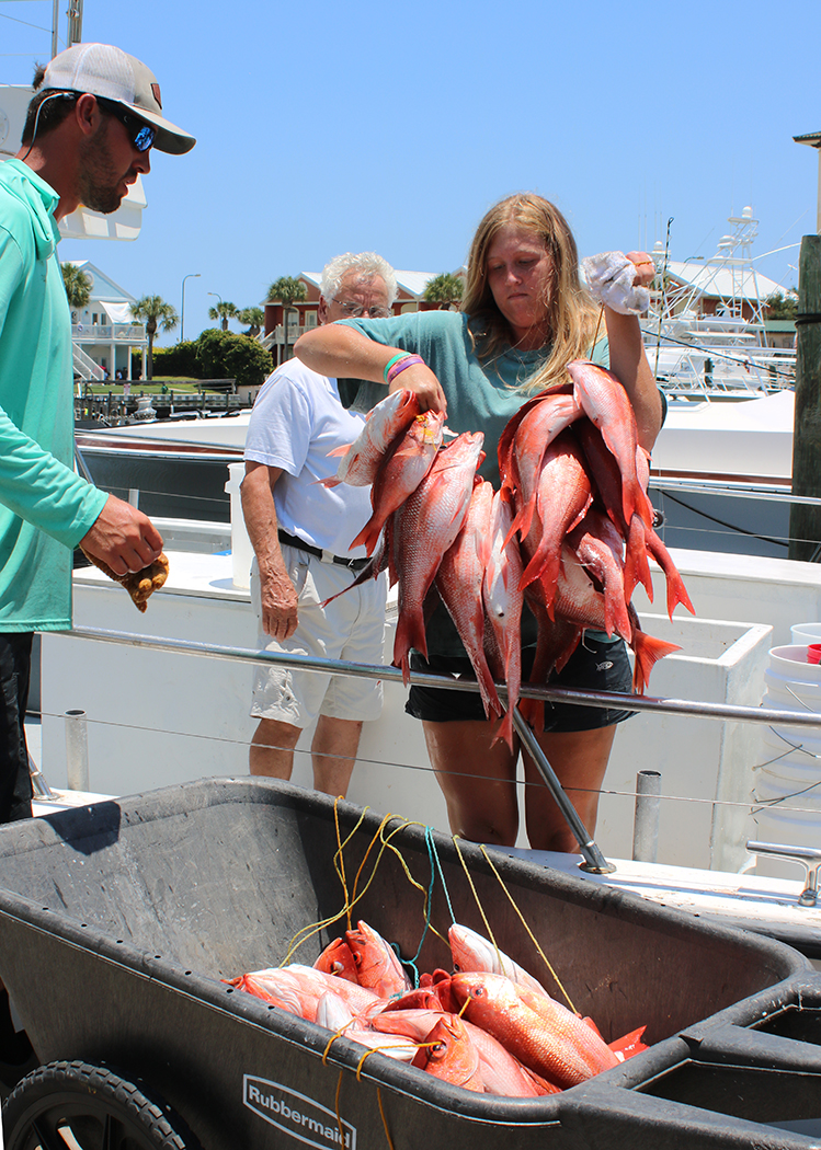ReelSurprise's tweet photo. One more month for #RedSnapper! You can fish 7 days per week with Reel Surprise Charters now through Thursday, August 24. Give us a call now to #reserveyourcharter #orangebeachfishing #orangebeachcharters #reelsurprisemarina https://t.co/s9eJWN7Et6