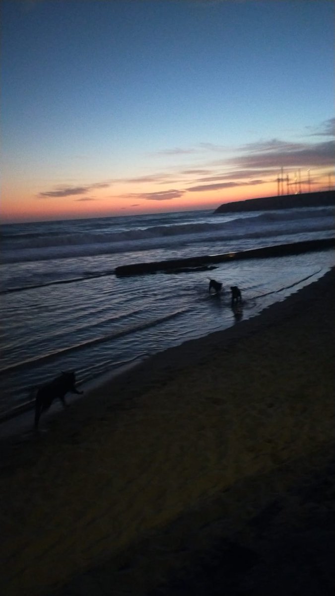 avv_procopio's tweet photo. ... tramonto ... https://t.co/vpZTG2jUse