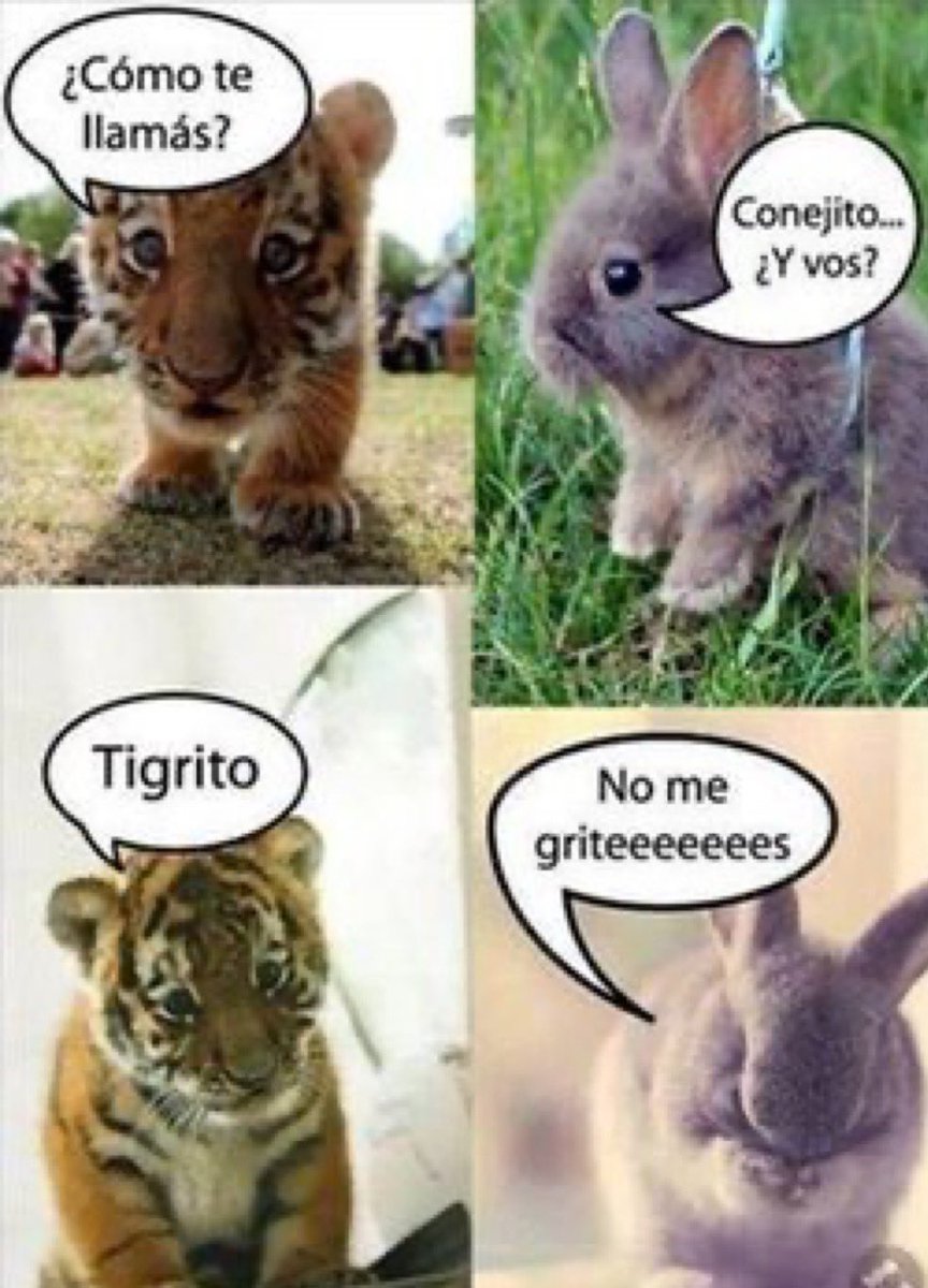 sigarrolopez's tweet photo. https://t.co/fU3cEKFB4K