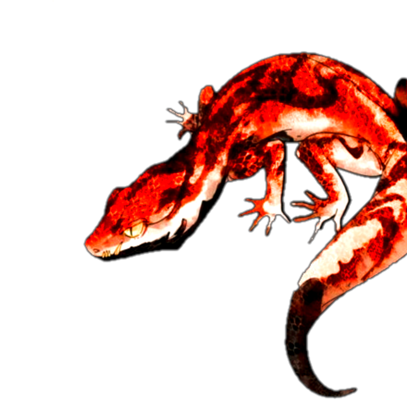 ᅠ ᅠᅠ ᅠᅠᅠᅠ𝐑🫀ᵃᵘᅠᅠᅠᅠᅠ ᅠᅠᅠ (@ronnyi_) on Twitter photo 