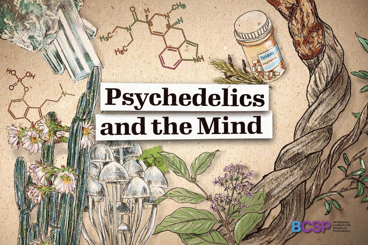 Whether in connection with mental health treatments, wellness, or research, psychedelics have become part of our public discourse Explore the fundamentals of psychedelics & what they may teach us about the mind in our free online course - out now! ✍ bit.ly/BCSPcourse