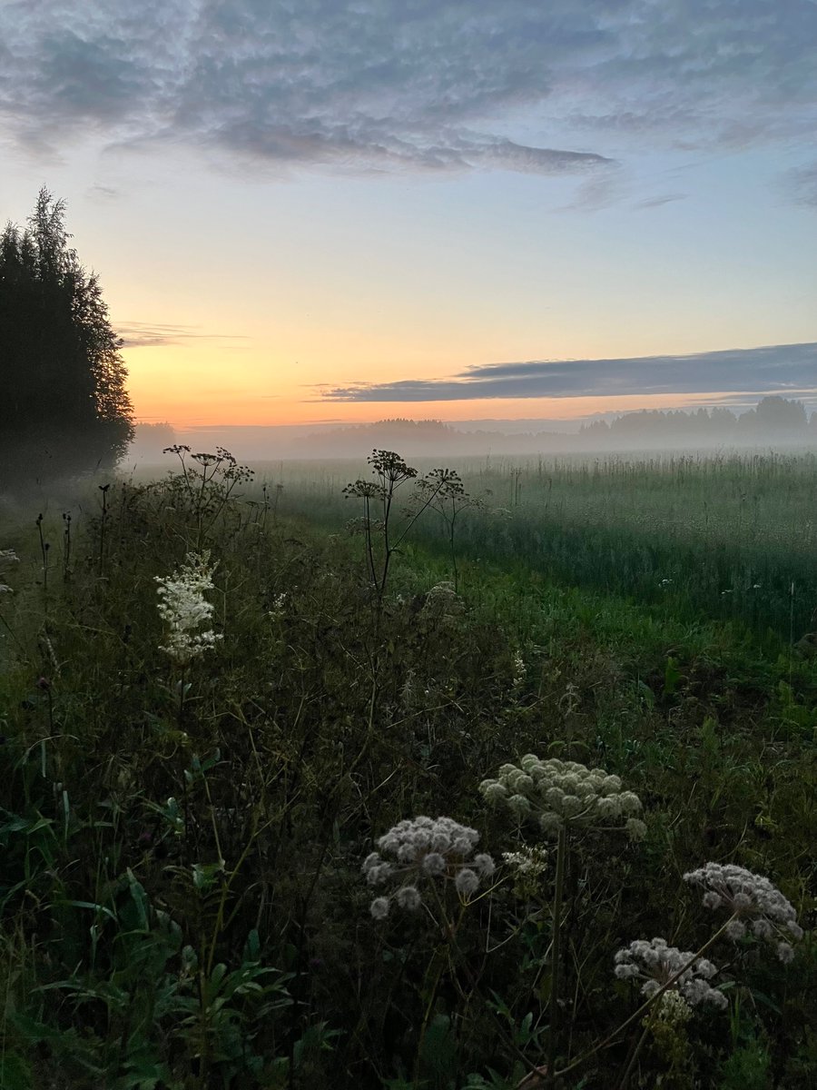 Henna Kosonen tweet media